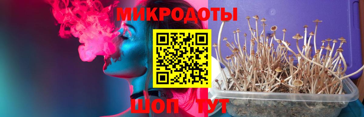 как найти наркотики  Галлюциногенные грибы ЛСД  Щёлково  Вход с VPN  Псилоцибиновые грибы Magic Shrooms 